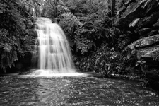 BKW114 Pool of Siloam, Blue Mountains National Park NSW